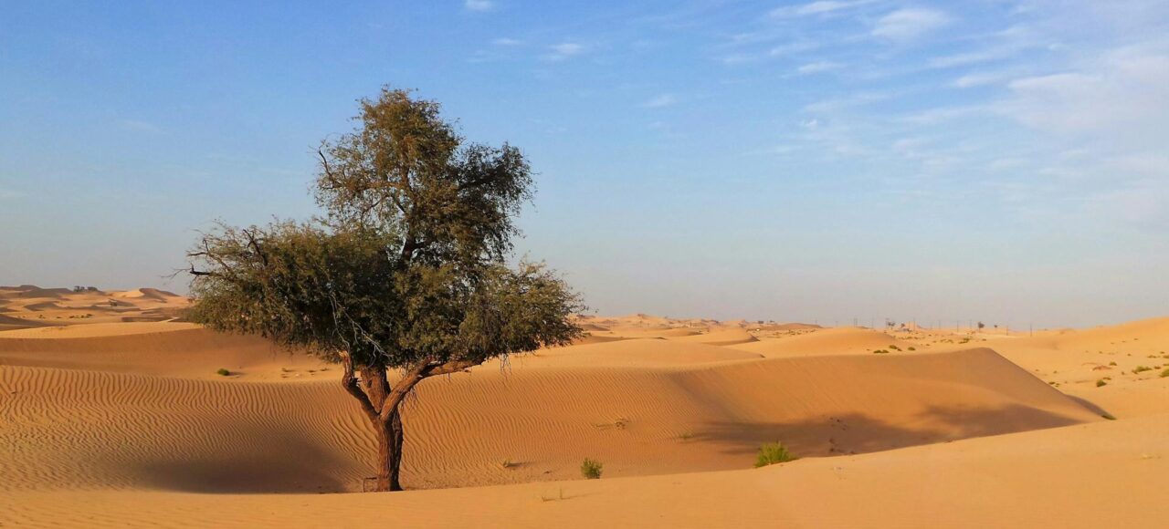 3-Day Desert Tour to Erg Chigaga from Marrakech