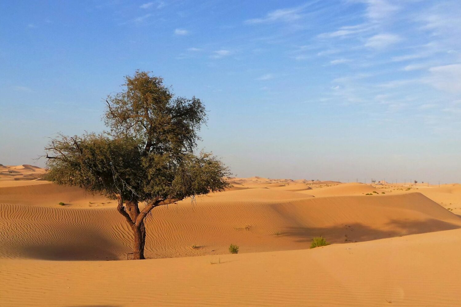 3-Day Desert Tour to Erg Chigaga from Marrakech
