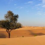 3-Day Desert Tour to Erg Chigaga from Marrakech