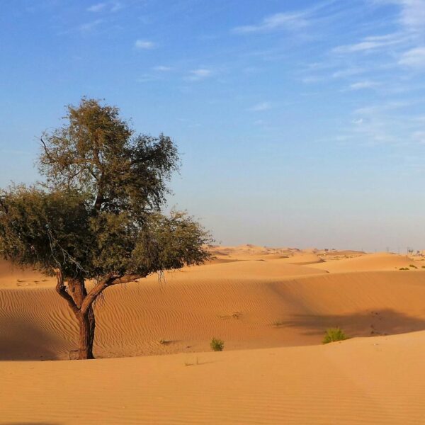 3-Day Desert Tour to Erg Chigaga from Marrakech