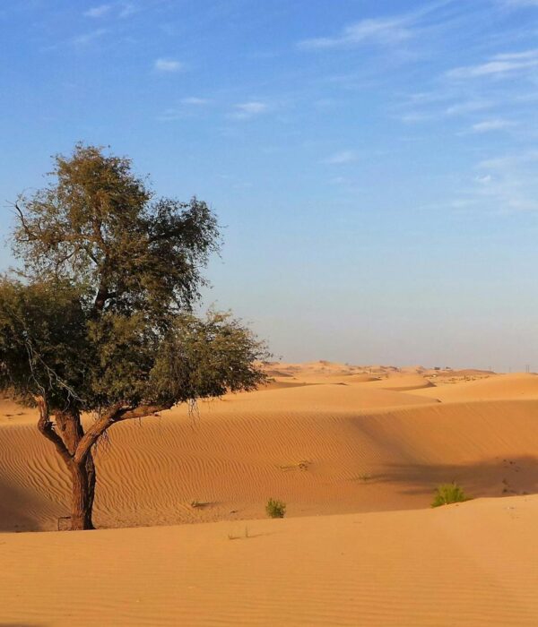 3-Day Desert Tour to Erg Chigaga from Marrakech