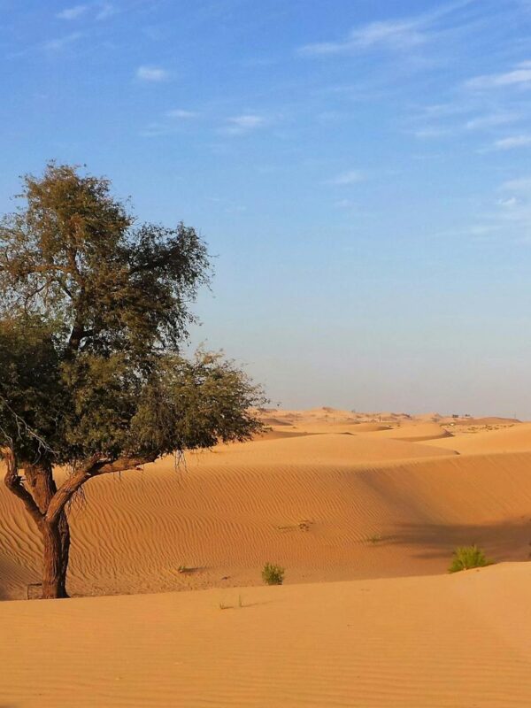 3-Day Desert Tour to Erg Chigaga from Marrakech