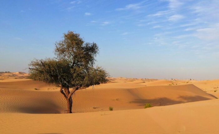 3-Day Desert Tour to Erg Chigaga from Marrakech