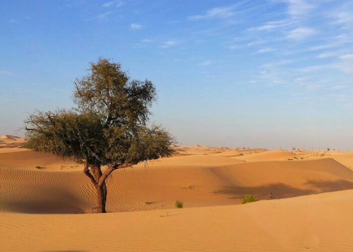3-Day Desert Tour to Erg Chigaga from Marrakech