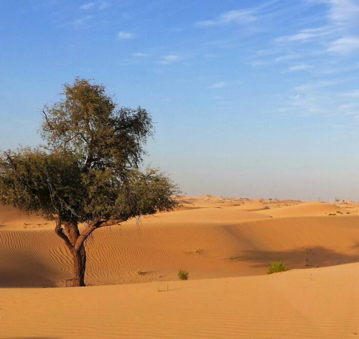 3-Day Desert Tour to Erg Chigaga from Marrakech