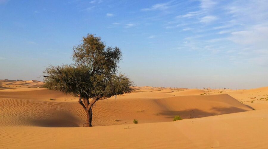 3-Day Desert Tour to Erg Chigaga from Marrakech