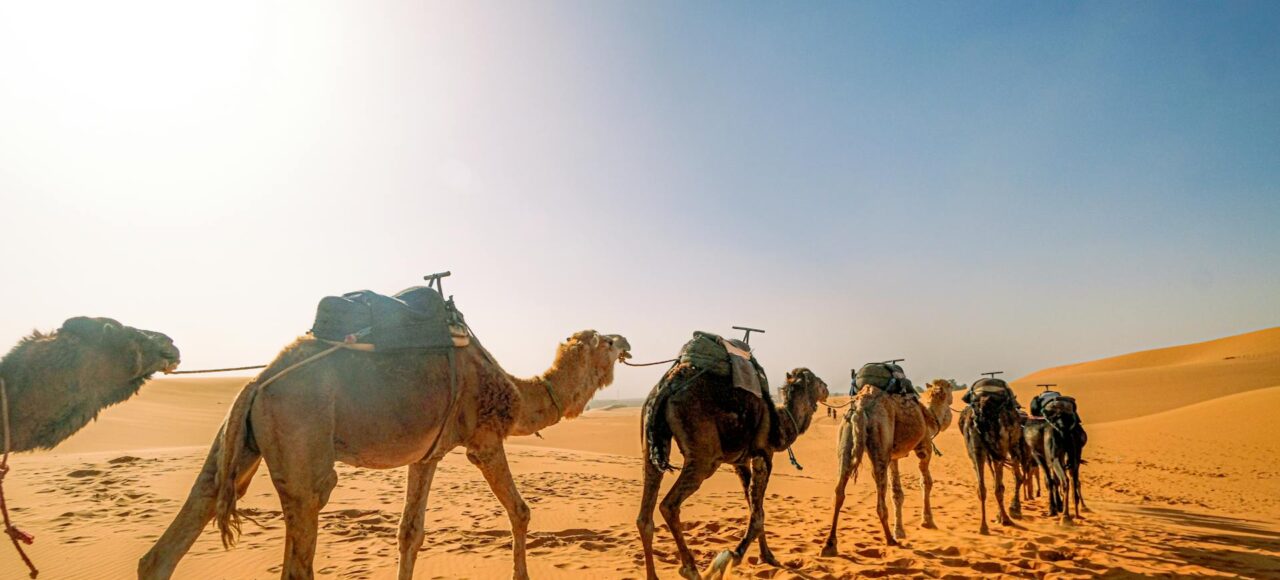 Epic 3-Day Tour from Marrakech to Merzouga