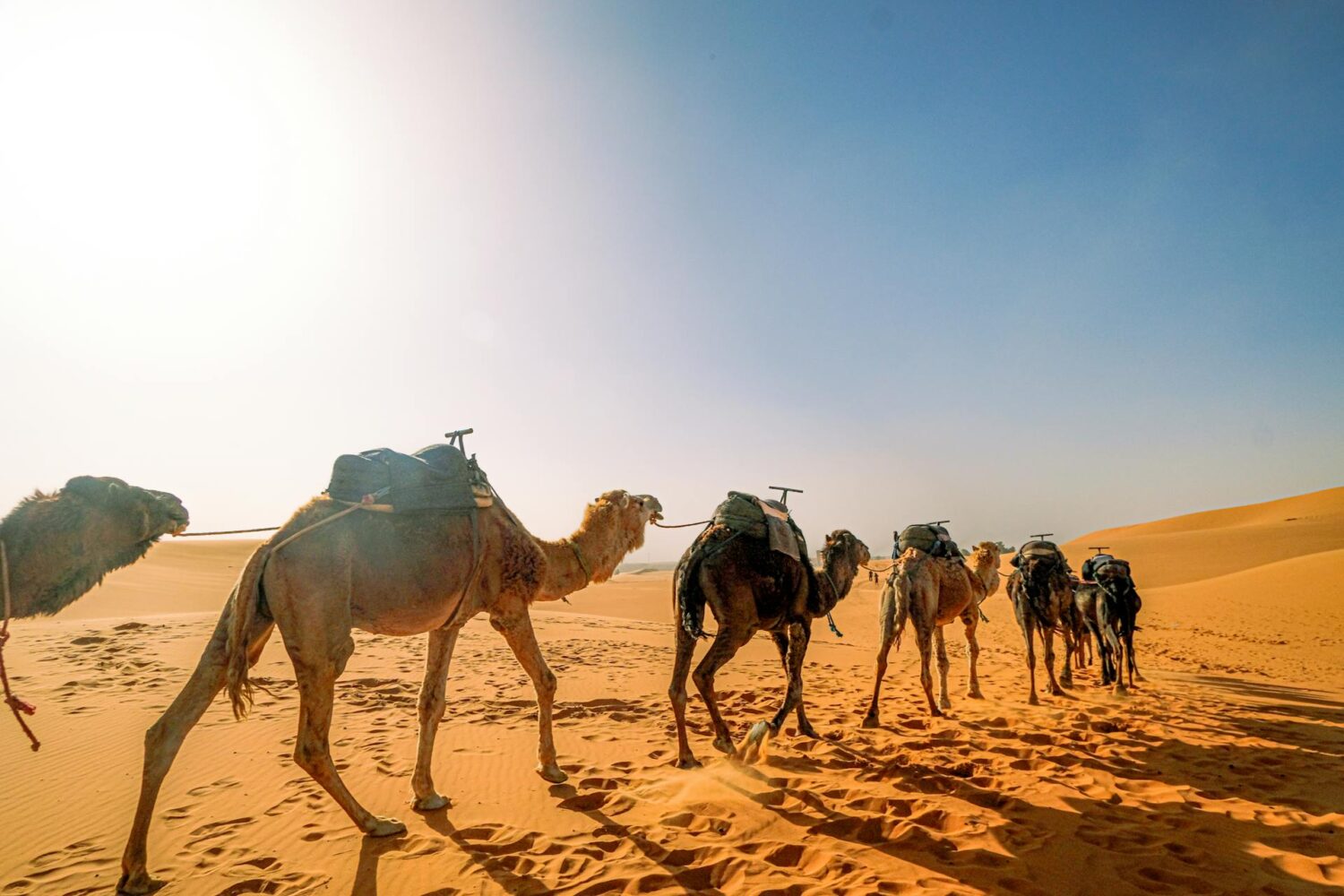 Epic 3-Day Tour from Marrakech to Merzouga