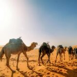 Epic 3-Day Tour from Marrakech to Merzouga