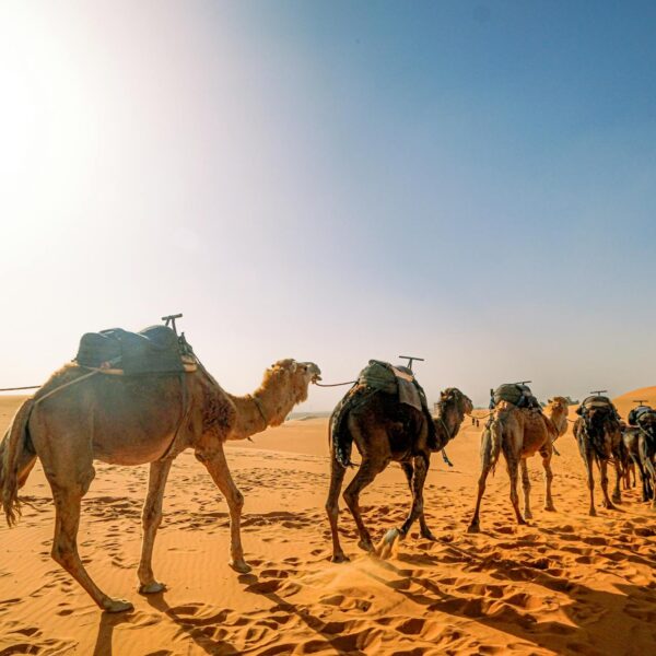 Epic 3-Day Tour from Marrakech to Merzouga