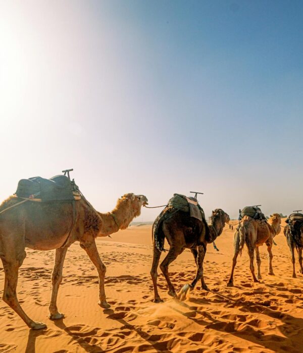 Epic 3-Day Tour from Marrakech to Merzouga