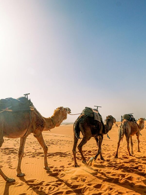 Epic 3-Day Tour from Marrakech to Merzouga