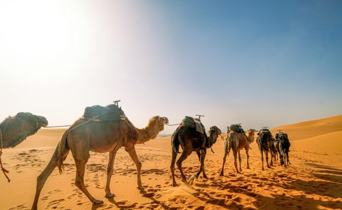 Epic 3-Day Tour from Marrakech to Merzouga