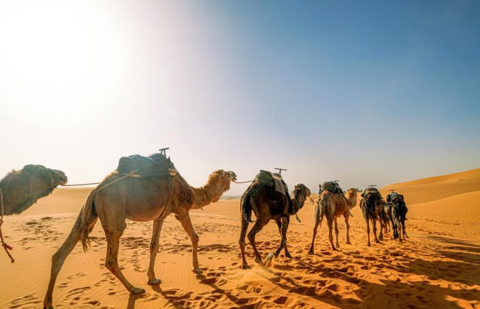 Epic 3-Day Tour from Marrakech to Merzouga