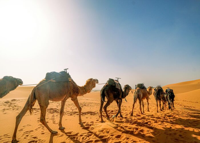 Epic 3-Day Tour from Marrakech to Merzouga