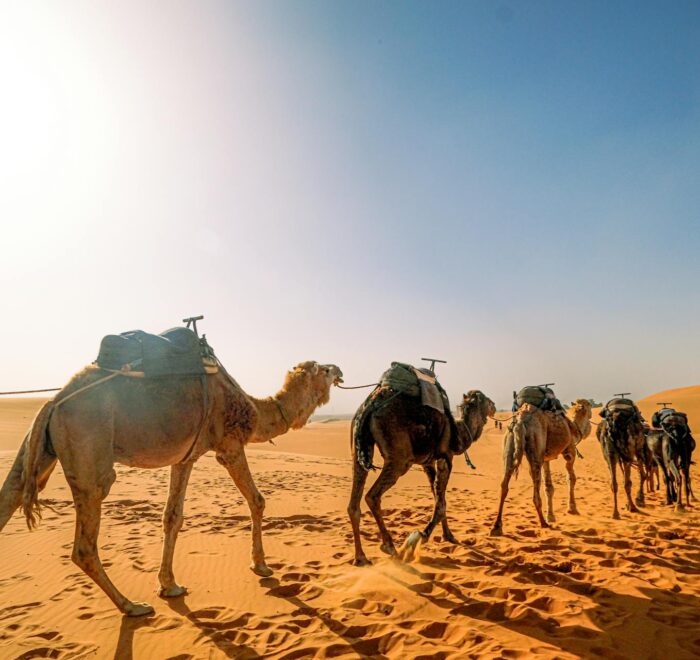 Epic 3-Day Tour from Marrakech to Merzouga