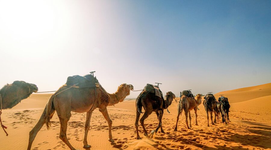 Epic 3-Day Tour from Marrakech to Merzouga