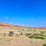 2-Day Cultural Tour in Tadighoust