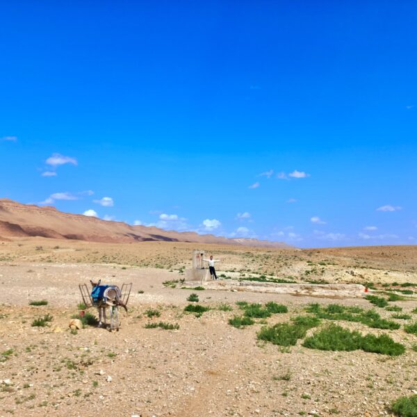 2-Day Cultural Tour in Tadighoust