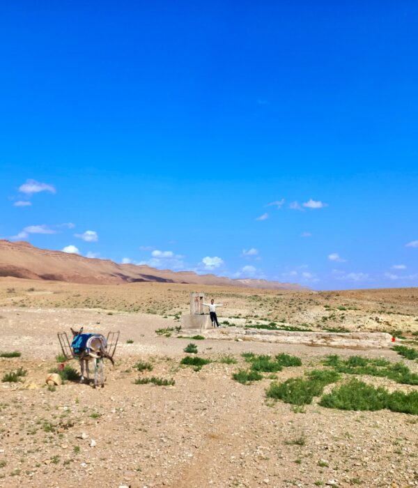 2-Day Cultural Tour in Tadighoust