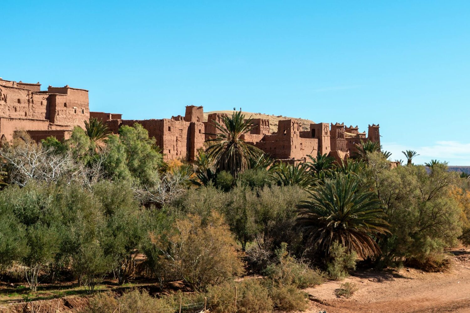 About Morocco Majestic Travel