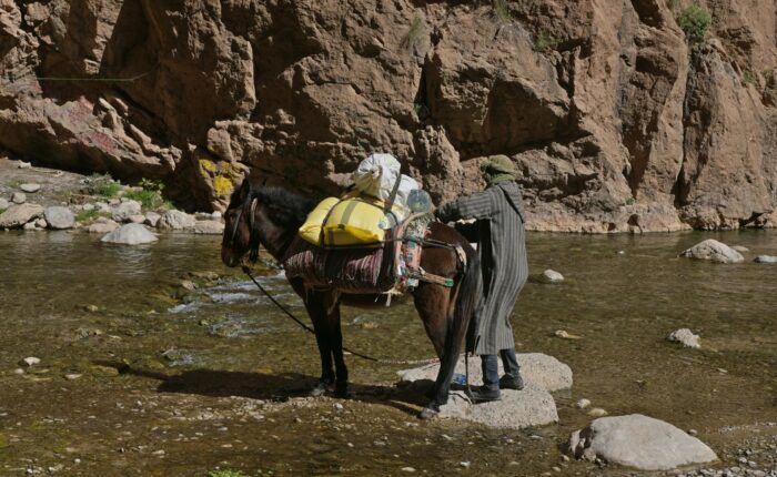 3-Day Desert Tour from Fes to Marrakech