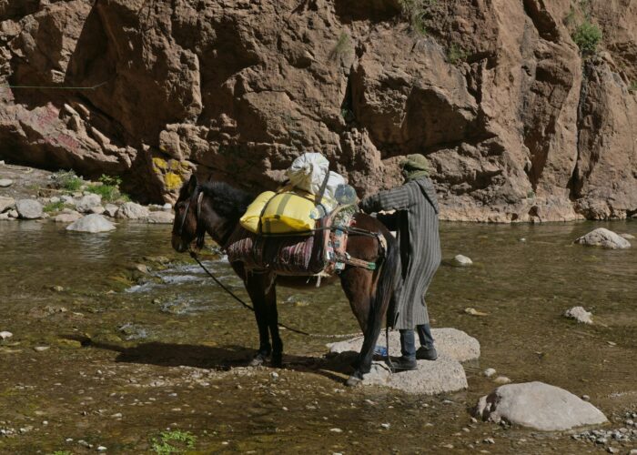 3-Day Desert Tour from Fes to Marrakech