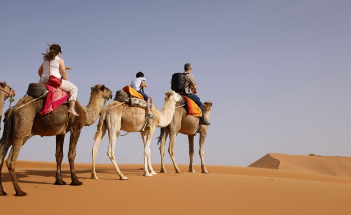 14-Day Ultimate Morocco Tour From Marrakech