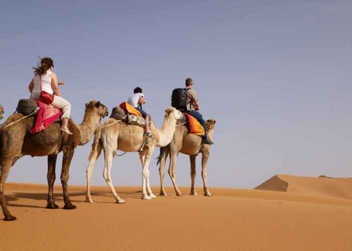 14-Day Ultimate Morocco Tour From Marrakech