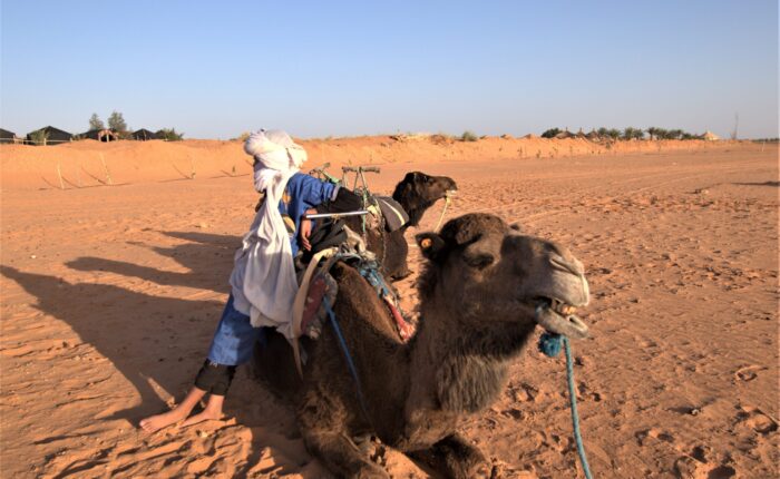 7-Day Tour From Marrakech to Casablanca