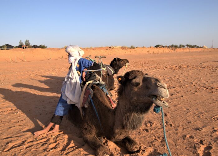 7-Day Tour From Marrakech to Casablanca