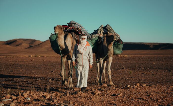 Ultimate 12-Day Morocco Tour Coast, Mountains & Desert