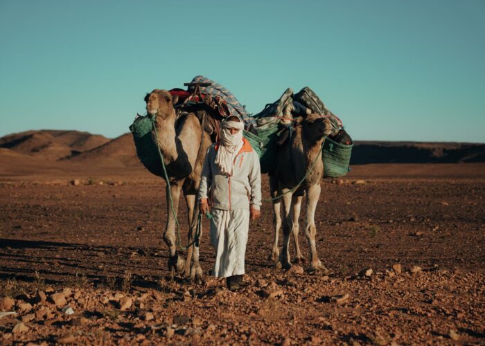 Ultimate 12-Day Morocco Tour Coast, Mountains & Desert